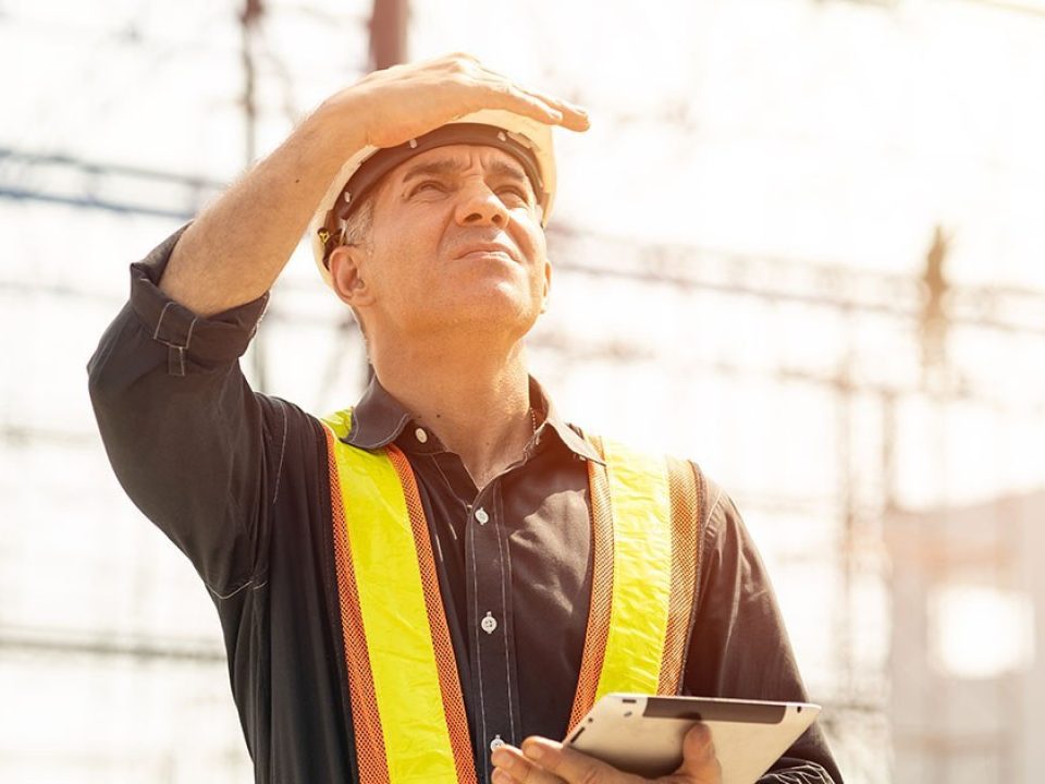 Heat Stress Article Article Image